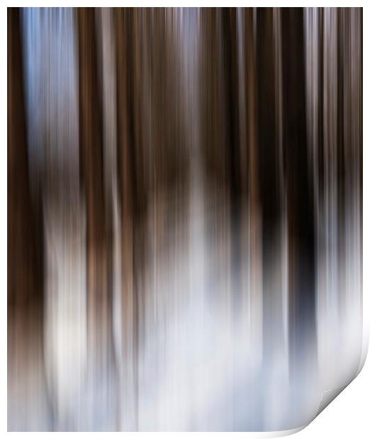 Motion blur  Print by Shaun Jacobs
