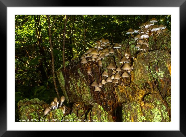 The Fairy Village Framed Mounted Print by Max Stevens