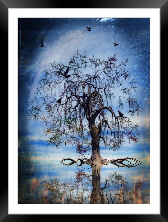 The wishing tree Framed Mounted Print by John Edwards