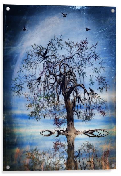 The wishing tree Acrylic by John Edwards