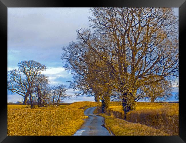 millhalf lane whitney on wye herefordshire Framed Print by paul ratcliffe