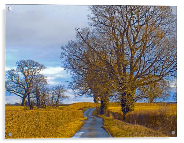 millhalf lane whitney on wye herefordshire Acrylic by paul ratcliffe