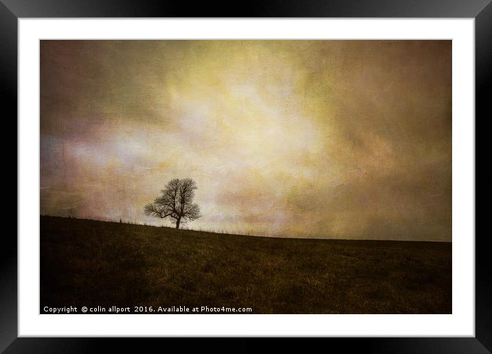 the tree Framed Mounted Print by colin allport
