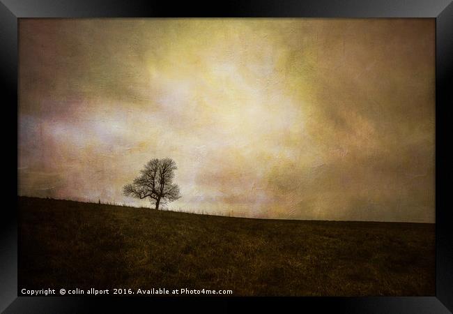 the tree Framed Print by colin allport