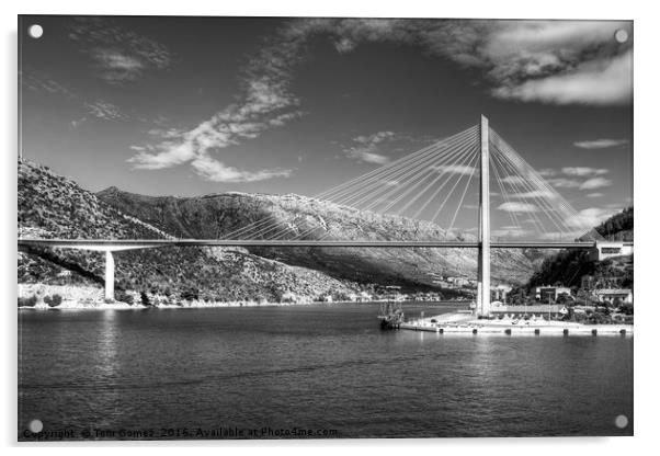 Franjo Tuđman Bridge - B&W Acrylic by Tom Gomez