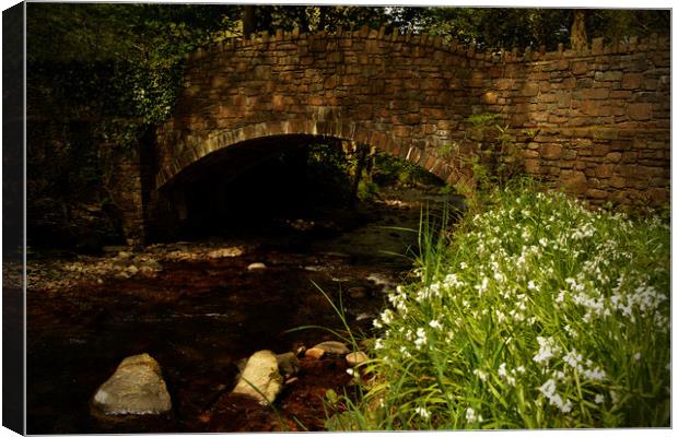 Bridge Over The River Heddon Canvas Print by graham young