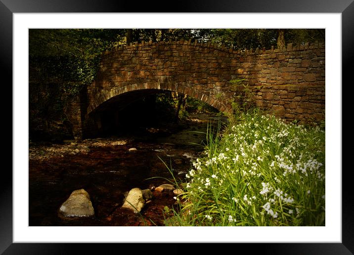 Bridge Over The River Heddon Framed Mounted Print by graham young