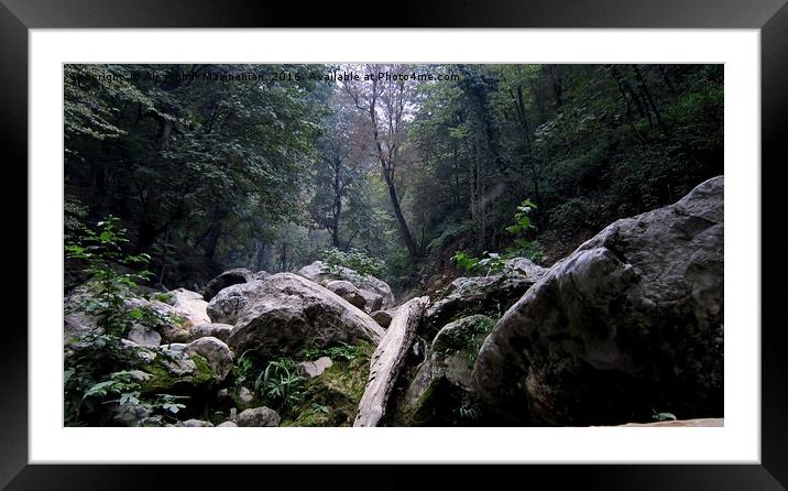 A dried steam in jungle 2, Framed Mounted Print by Ali asghar Mazinanian