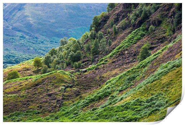 Colour at Crowden Print by Andrew Kearton