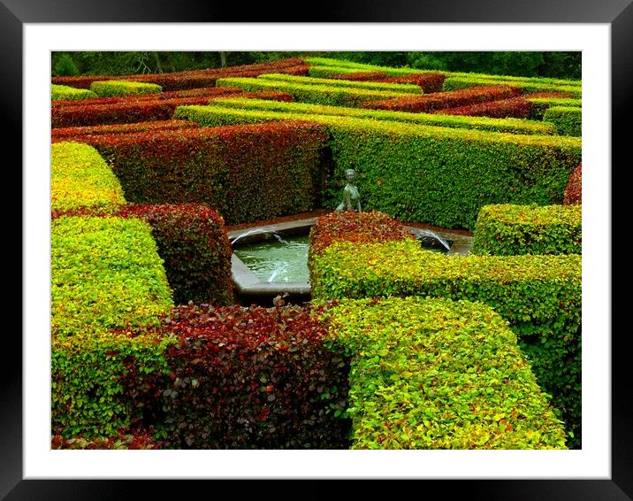           Scone Palace Maze Perth Scotland Framed Mounted Print by Andy Smith