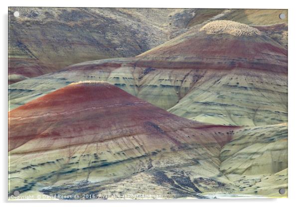 Painted Hills of Oregon Acrylic by David Roossien