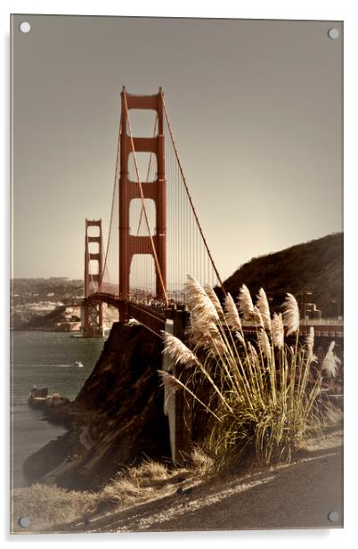 Urban Golden Gate Bridge Acrylic by Melanie Viola