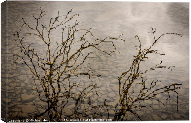 Branching out Canvas Print by Michael Houghton