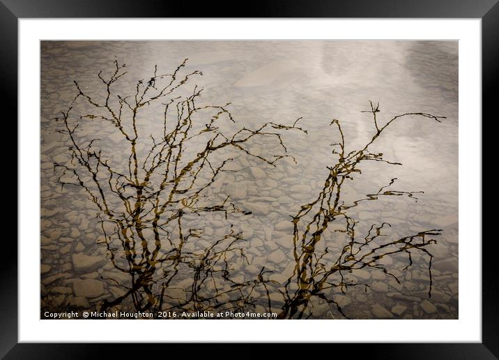 Branching out Framed Mounted Print by Michael Houghton