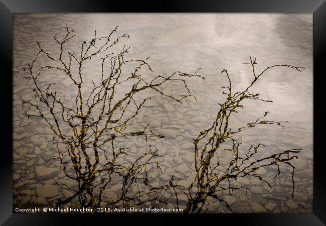 Branching out Framed Print by Michael Houghton