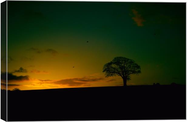 Lone Tree Sunrise Canvas Print by kevin wise