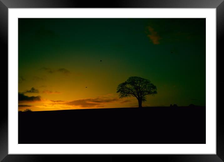 Lone Tree Sunrise Framed Mounted Print by kevin wise