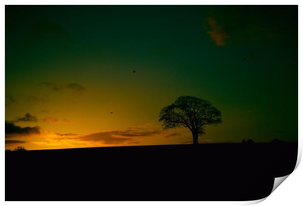 Lone Tree Sunrise Print by kevin wise