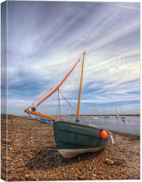 Low tide boats. Canvas Print by Peter Towle