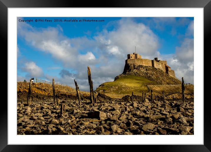 Lindisfarne Castle, Holy Island Framed Mounted Print by Phil Reay