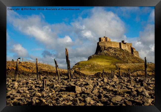 Lindisfarne Castle, Holy Island Framed Print by Phil Reay