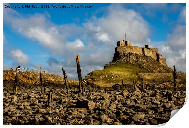 Lindisfarne Castle, Holy Island Print by Phil Reay