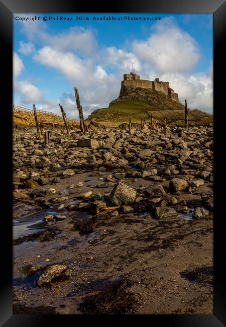 Lindisfarne Castle at low tide Framed Print by Phil Reay