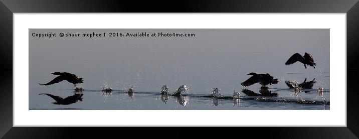 Water dance Framed Mounted Print by shawn mcphee I