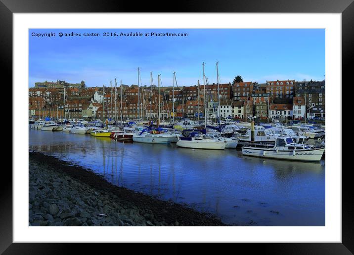 MOORED TOGETHER Framed Mounted Print by andrew saxton