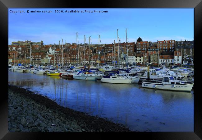 MOORED TOGETHER Framed Print by andrew saxton