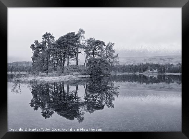 Loch Tulla Pines Framed Print by Stephen Taylor
