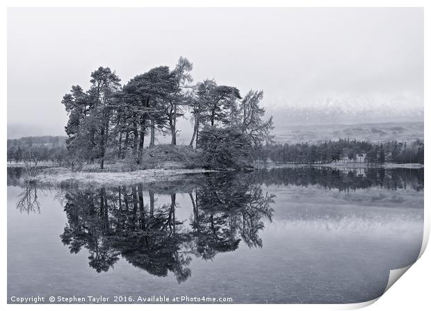 Loch Tulla Pines Print by Stephen Taylor