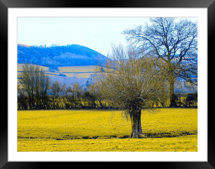 winforton common herefordhire Framed Mounted Print by paul ratcliffe