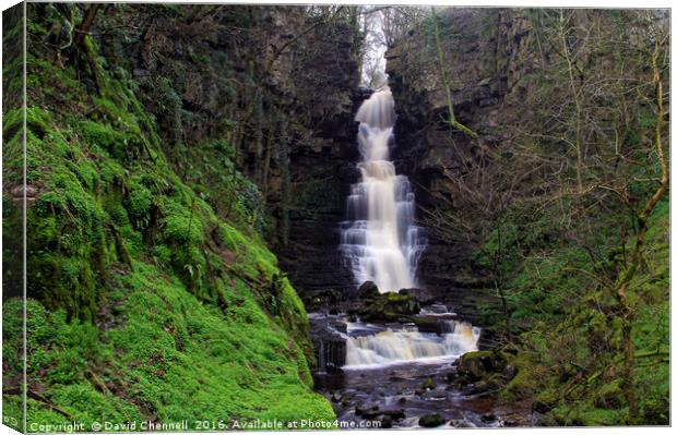 Mill Gill Force Waterfall  Canvas Print by David Chennell