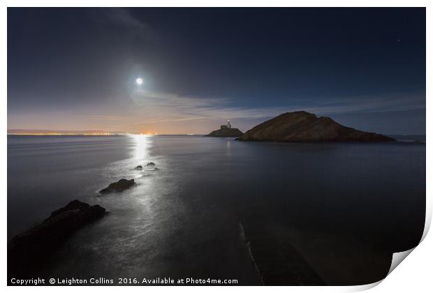 Mumbles by moonlight Print by Leighton Collins