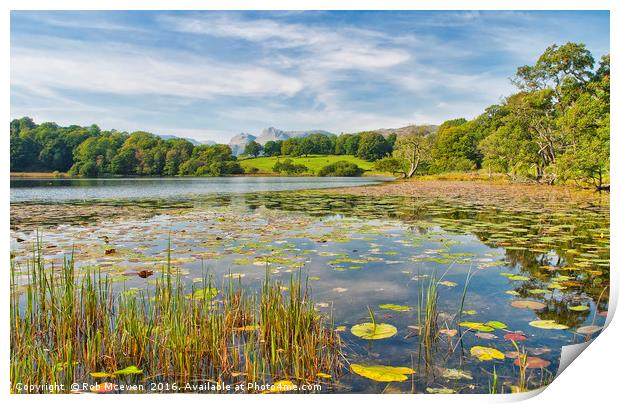 Loughrigg Tarn,Elterwater Print by Rob Mcewen