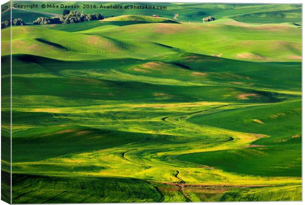 Rural Patterns Canvas Print by Mike Dawson