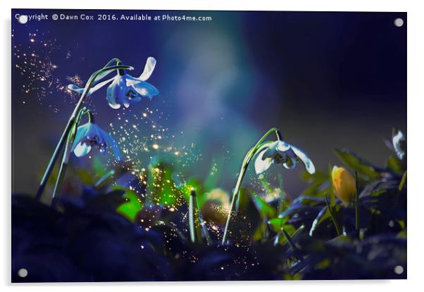Spring Magic Acrylic by Dawn Cox