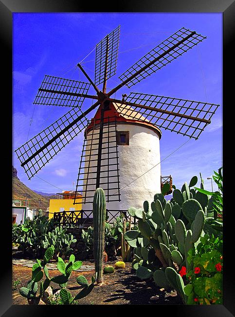 Tropical Windmill Framed Print by Rob Hawkins