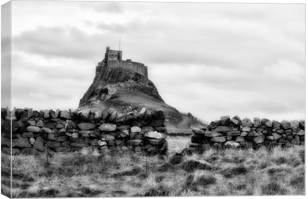 Holy Island Canvas Print by Northeast Images