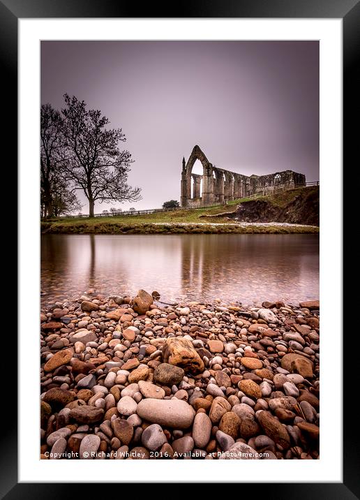 Bolton Abbey Framed Mounted Print by Richard Whitley