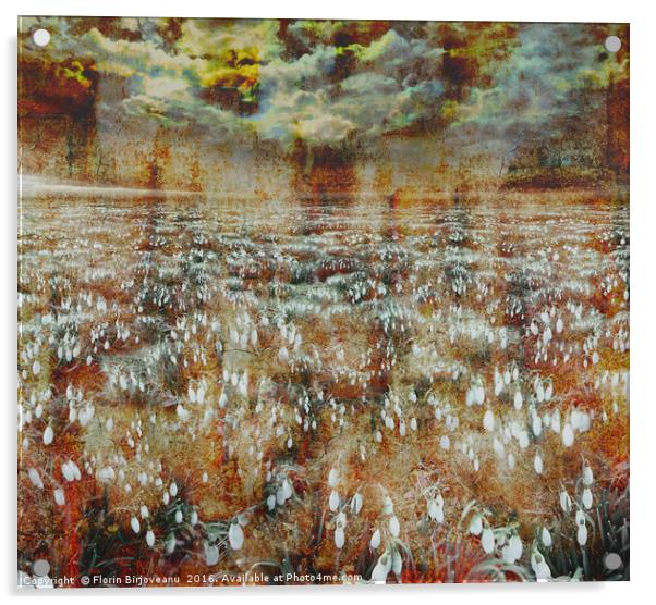Spring Day Rusted  Acrylic by Florin Birjoveanu