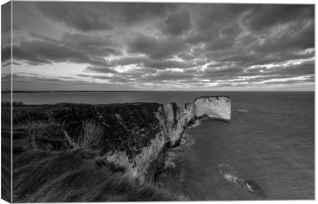 Old Harry rock  Canvas Print by Shaun Jacobs