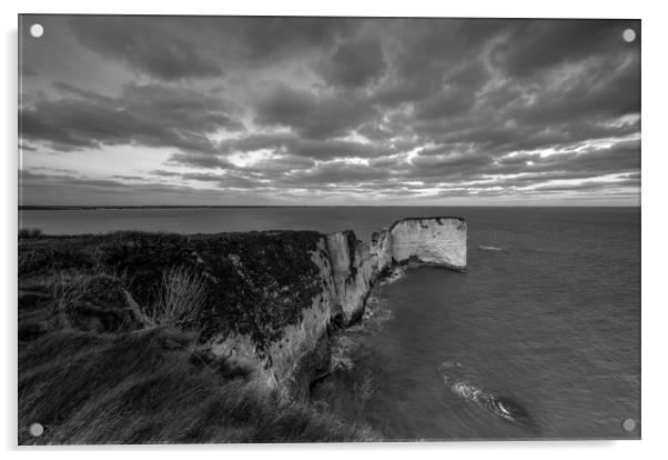 Old Harry rock  Acrylic by Shaun Jacobs