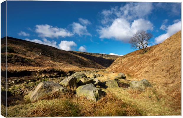 A sunny winters day at Crowden Canvas Print by Andrew Kearton
