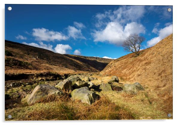 A sunny winters day at Crowden Acrylic by Andrew Kearton