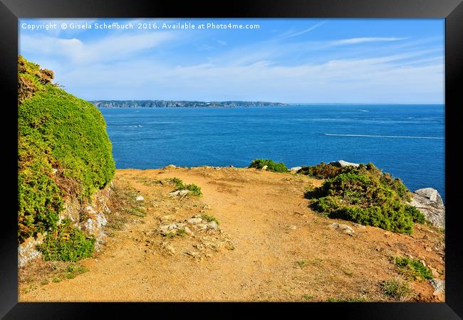 Cliff Path on the Channel Island of Herm Framed Print by Gisela Scheffbuch