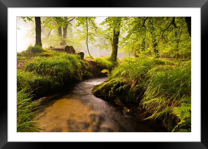 Rivers flow Framed Mounted Print by Michael Brookes