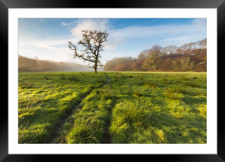 Lonely Framed Mounted Print by Michael Brookes