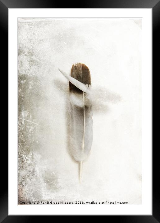 Flying Feathers Framed Mounted Print by Randi Grace Nilsberg
